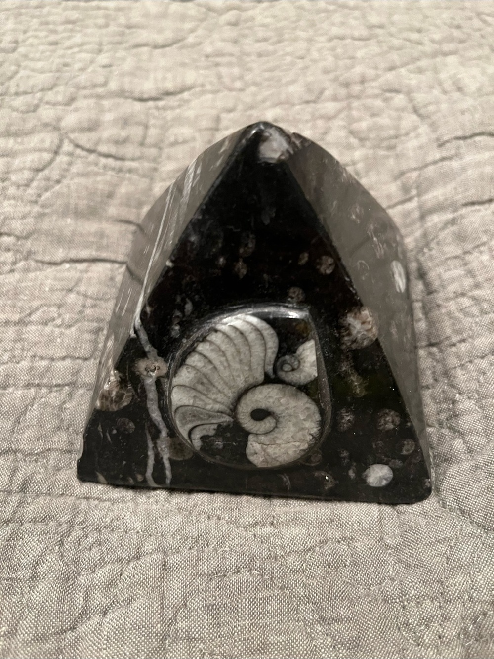 Black Fossil Pyramid Sculpture - Decorative Ammonite Accent